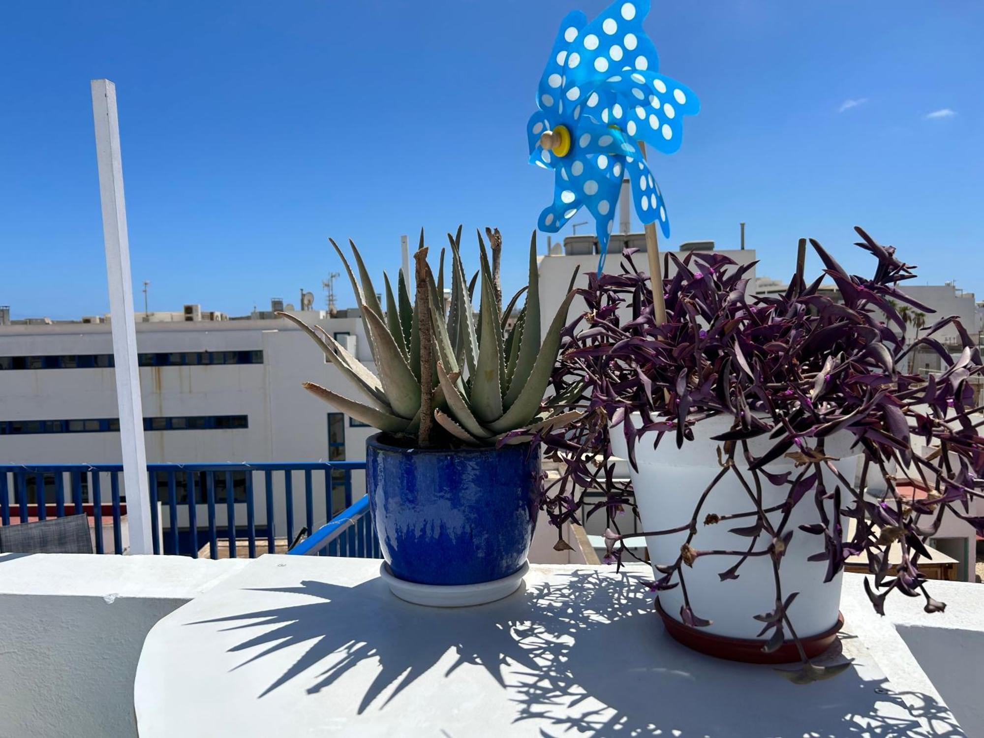La Buganvilla Rooms Arrecife  Eksteriør bilde