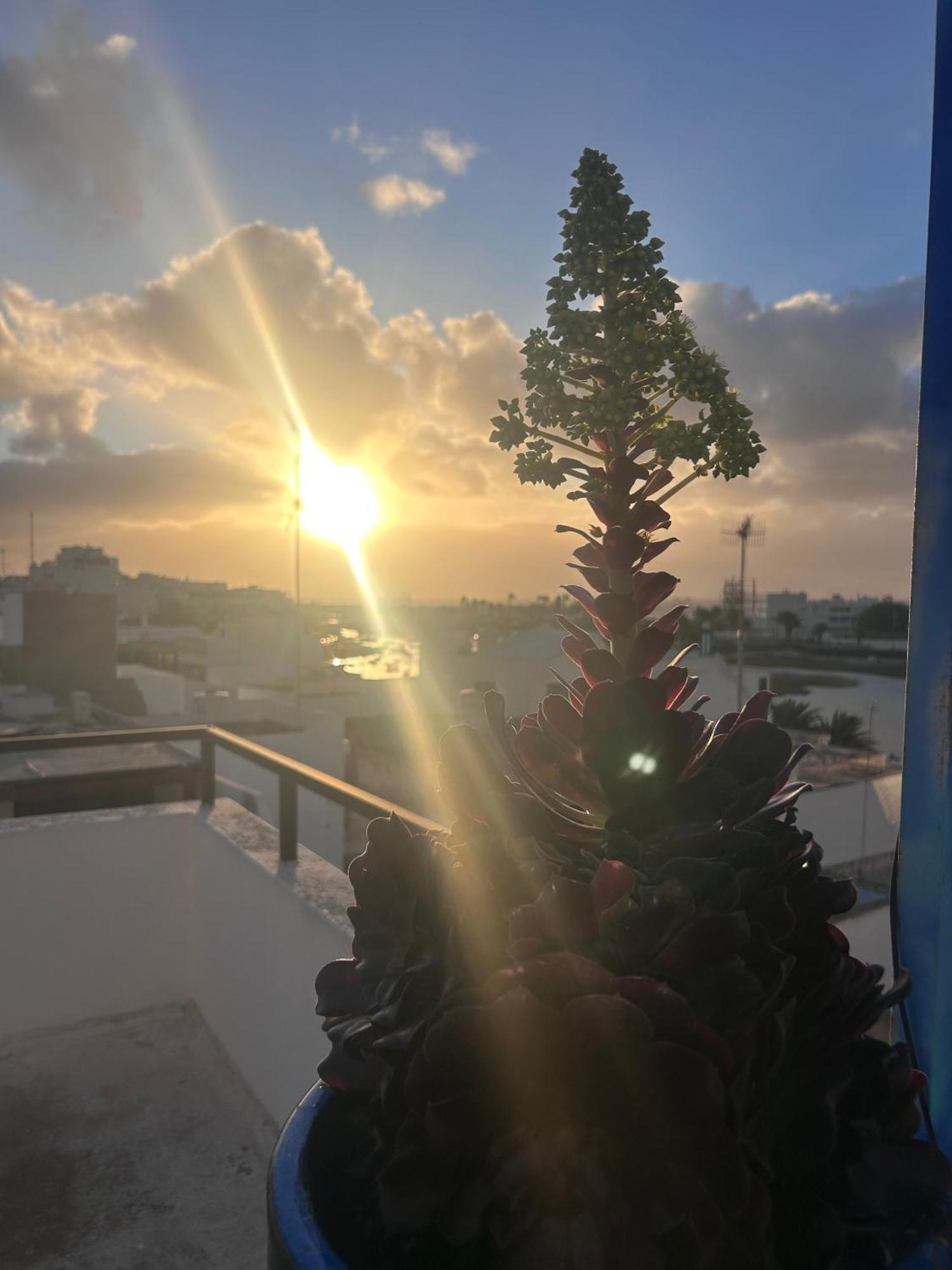 La Buganvilla Rooms Arrecife  Eksteriør bilde