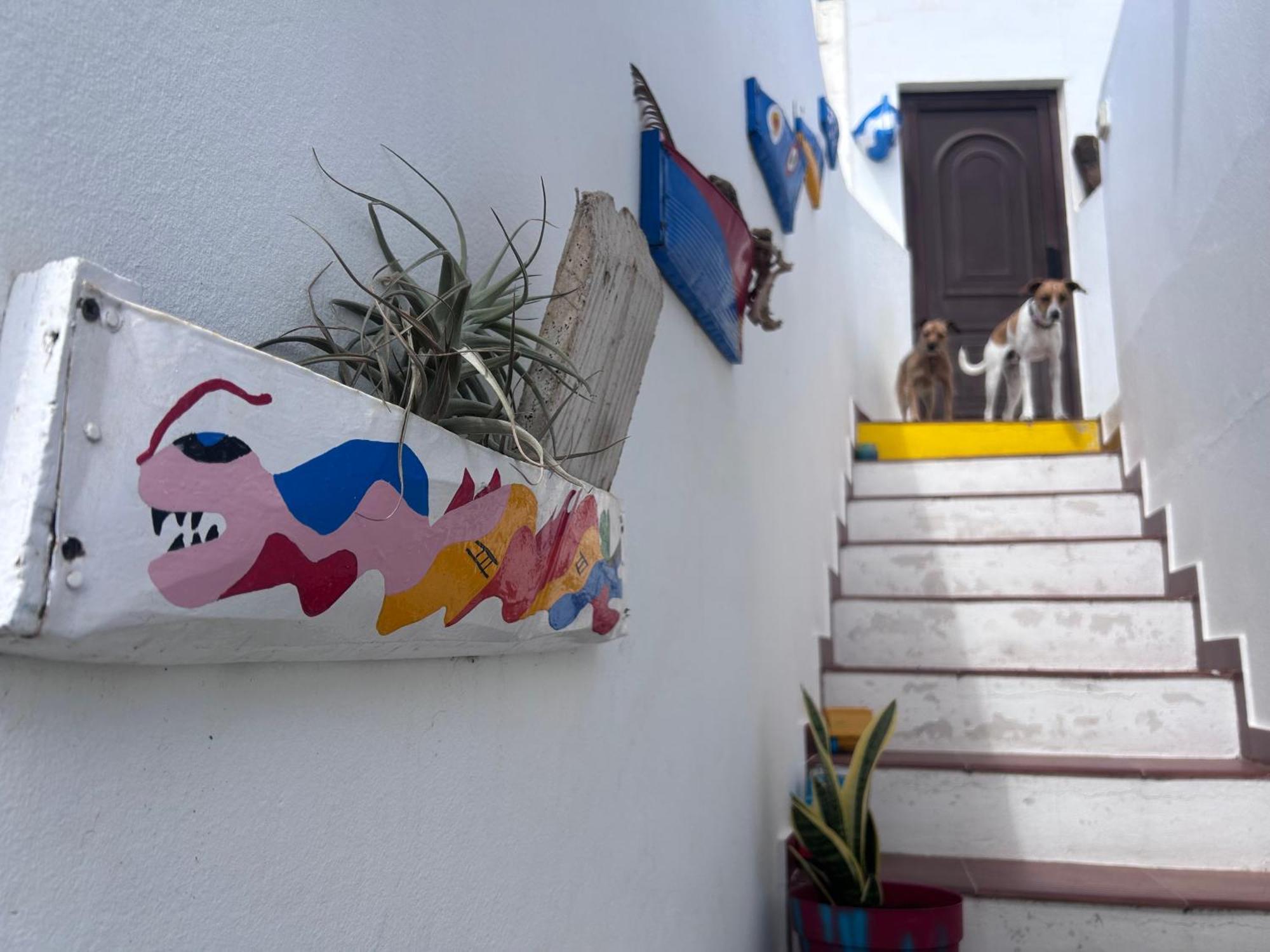 La Buganvilla Rooms Arrecife  Eksteriør bilde